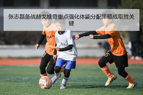 张志磊备战赫戈维奇重点强化体能分配策略成取胜关键