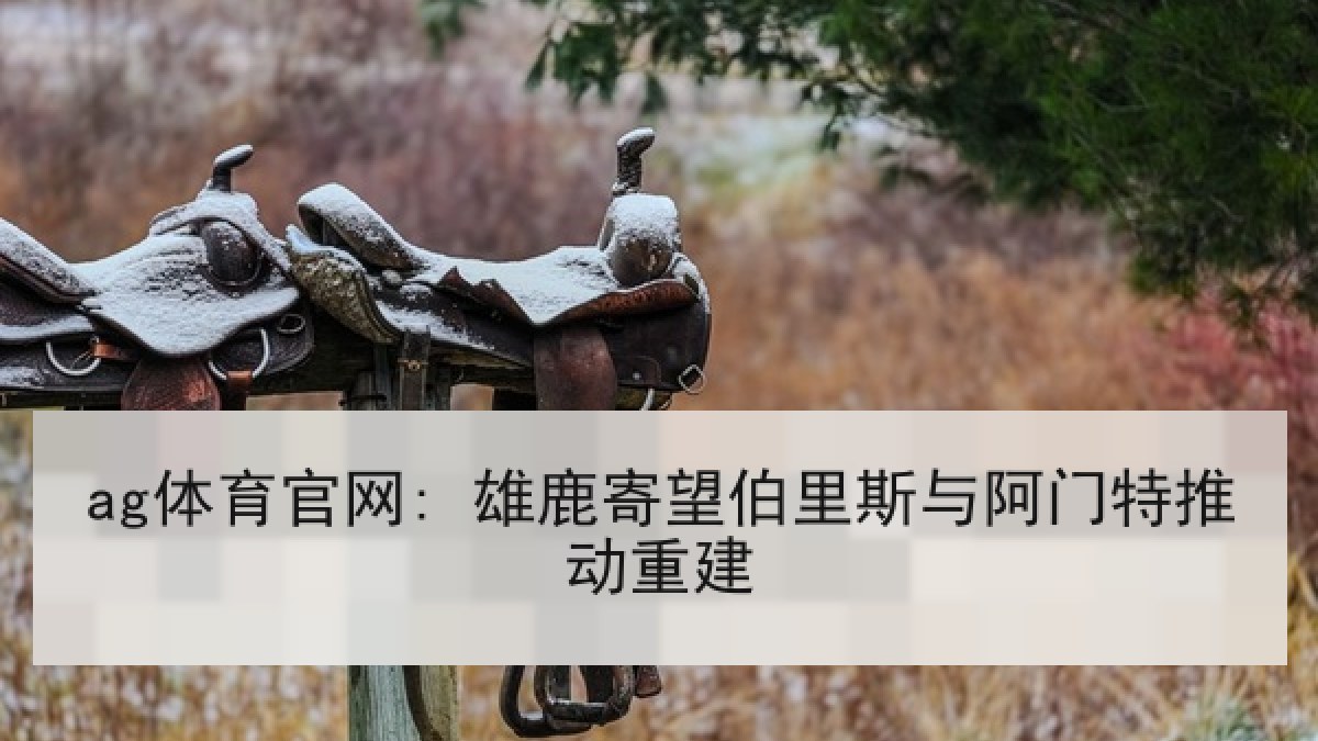 ag体育官网: 雄鹿寄望伯里斯与阿门特推动重建