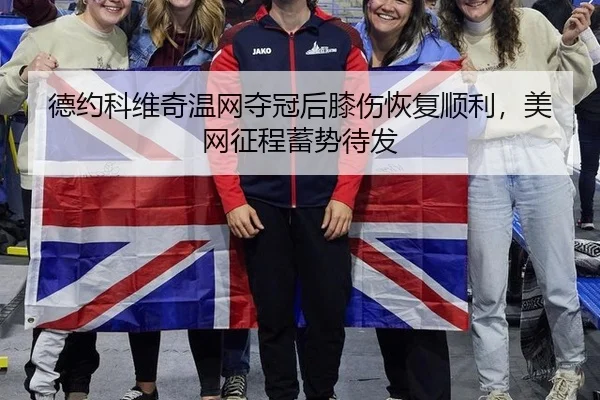 de-yue-ke-wei-qi-wen-wang-duo-guan-hou-xi-shang-hui-fu-shun-li-mei-wang-zheng-cheng-xu-shi-dai-fa-3-716.jpg